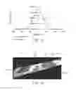 Fig. 08 - Lightguide with various shapes and extracting structures