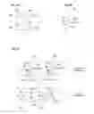 Fig. 07 - Optical circuits and optical switches