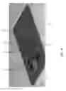 Fig. 02 - Optical and thermal interface for photonic integrated circuits
