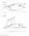 Fig. 04 - Illumination system