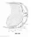 Fig. 09 - Electronic eyewear and display