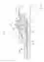 Fig. 05 - Liquid immersion member, exposure apparatus, exposing method, method for manufacturing device, program, and recording medium