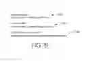 Fig. 12 - Dynamically-generated files for visualization sharing