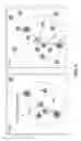 Fig. 07 - Systems and methods for detecting landmark pairs in images
