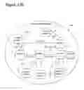 Fig. 27 - Peer-to-Peer Activity Sequence Structure Method and System