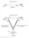 Fig. 05 - MULTINODAL JOB-SEARCH CONTROL SYSTEM
