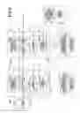 Fig. 06 - Imaging apparatus, imaging system, movable body, and chip