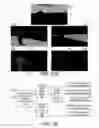 Fig. 32 - Fast motion based and color assisted segmentation of video into region layers