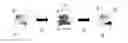 Fig. 01 - Method that supports the analysis of digital images in a computer cluster environment