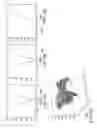Fig. 07 - Calibrating texture cameras using features extracted from depth images
