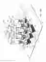 Fig. 12 - Tactile Graphic Display
