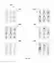 Fig. 11 - Encrypting and decrypting postscript language