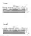 Fig. 07 - Electronic component and manufacturing method thereof