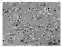 Fig. 01 - METHOD OF ELIMINATING FAULTS IN A SEMICONDUCTOR FILM COMPRISING THE FORMATION OF A HYDROGEN TRAPPING LAYER