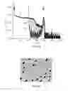 Fig. 02 - METHOD OF ELIMINATING FAULTS IN A SEMICONDUCTOR FILM COMPRISING THE FORMATION OF A HYDROGEN TRAPPING LAYER