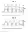 Fig. 05 - Semiconductor device and method of manufacturing the same