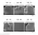 Fig. 09 - Positive active material, positive electrode and lithium secondary battery containing the material, and method of preparing the material
