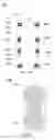 Fig. 10 - Antenna and communications device
