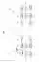 Fig. 02 - Method for performing communication using TDD frame in wireless communication system, and device therefor