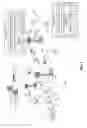 Fig. 02 - GROUP ACKNOWLEDGMENT AND/OR NEGATIVE ACKNOWLEDGMENT IN WIRELESS COMMUNICATION SYSTEMS