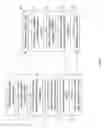 Fig. 08 - RAN for multimedia delivery