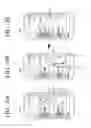 Fig. 07 - Terminal apparatus and server and method of controlling the same