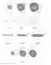 Fig. 02 - Particle and aerosol-forming system comprising such particles