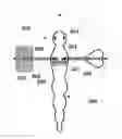Fig. 01 - Fishing lure