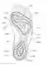 Fig. 01 - Sports sock
