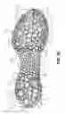 Fig. 08 - Ground-engaging structures for articles of footwear