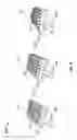 Fig. 06 - Treatment of spinal tissue