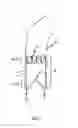 Fig. 02 - Device for the implantation and fixation of prosthetic valves