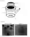 Fig. 02 - PARTICLES, PHARMACEUTICAL PREPARATION, TOPICAL DRUG, AND COSMETIC PRODUCT