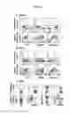 Fig. 09 - Conditioning regimens and methods for inducing mixed chimerism