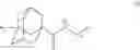 Fig. 02 - Therapy for inhibition of single-stranded RNA virus replication