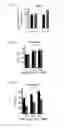 Fig. 05 - Method for treating schizophrenia