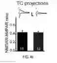 Fig. 19 - Method for treating schizophrenia