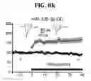 Fig. 35 - Method for treating schizophrenia