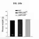 Fig. 40 - Method for treating schizophrenia