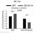 Fig. 45 - Method for treating schizophrenia