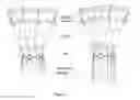 Fig. 02 - AMPHIPHILIC CYCLODEXTRIN-BASED GLYCODENDRIMERS