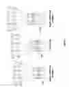 Fig. 06 - AMPHIPHILIC CYCLODEXTRIN-BASED GLYCODENDRIMERS