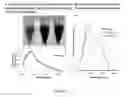Fig. 10 - AMPHIPHILIC CYCLODEXTRIN-BASED GLYCODENDRIMERS