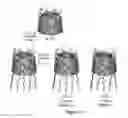 Fig. 15 - AMPHIPHILIC CYCLODEXTRIN-BASED GLYCODENDRIMERS