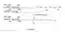 Fig. 35 - AMPHIPHILIC CYCLODEXTRIN-BASED GLYCODENDRIMERS