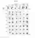 Fig. 15 - Method for determining presence or absence of suffering from malignant lymphoma or leukemia, and agent for treatment and/or prevention of leukemia