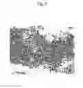 Fig. 20 - Method for determining presence or absence of suffering from malignant lymphoma or leukemia, and agent for treatment and/or prevention of leukemia