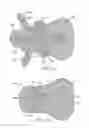 Fig. 08 - MEDICAL ARTICLE SECUREMENT SYSTEM COMPRISING A FLAP HAVING MATING SURFACES OF A MECHANICAL FASTENER ON OPPOSING MAJOR SURFACES