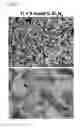 Fig. 09 - Nitrogen solid solution titanium sintered compact and method for producing same