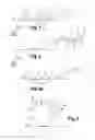 Fig. 02 - Method and machine for manufacturing a bag comprising handle